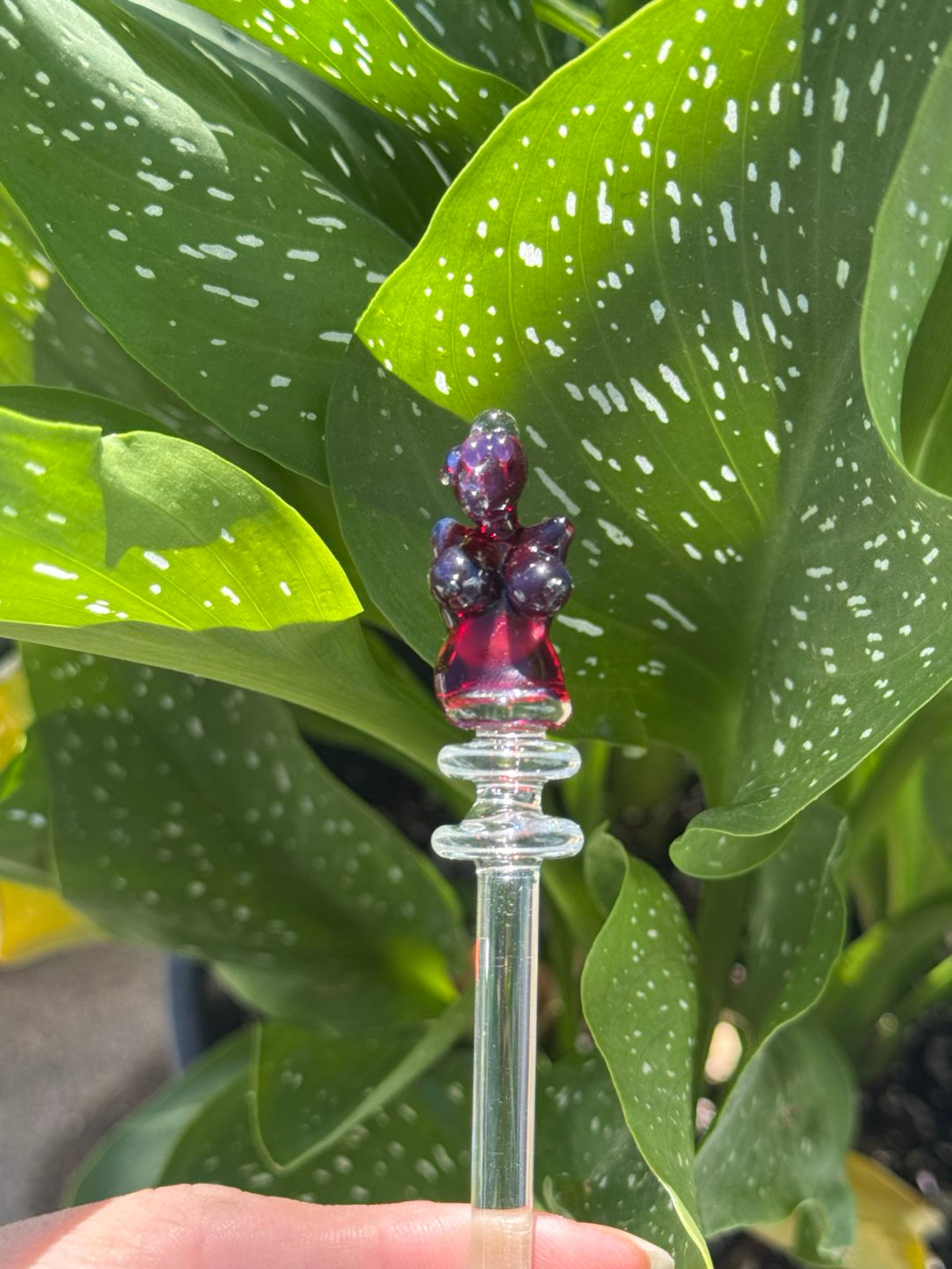 Preview pic of Long lady dabber