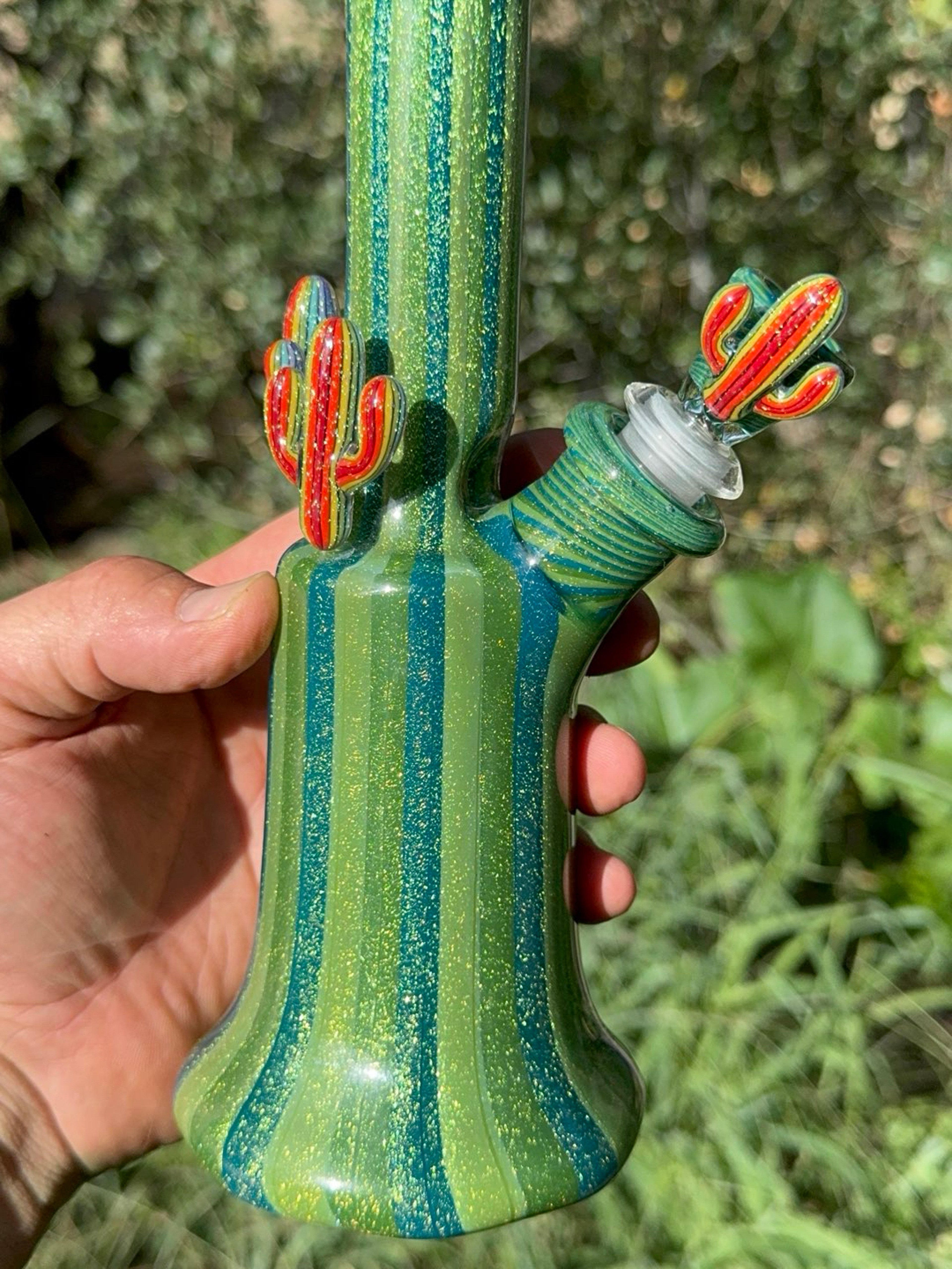 Preview pic of The 3 cactus 🌵