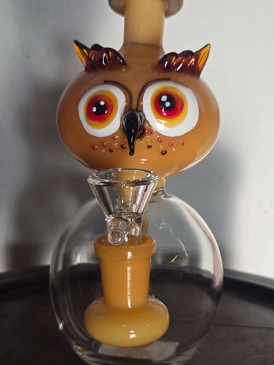 Preview pic of Owl bong