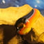 Small image 5