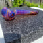 Small image 5