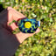 Small image 6