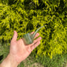 Small image 2