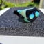 Small image 4