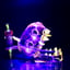 Small image 6
