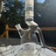 Small image 5