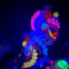 Small image 8