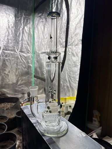 Preview pic of Symbiartic glass