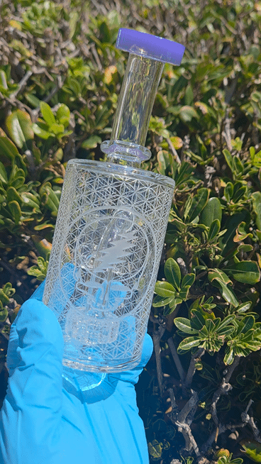 Preview pic of Sandblasted Steal Your Face