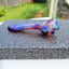 Small image 8