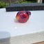 Small image 8