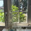 Small image 6