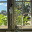Small image 7