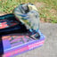 Small image 5