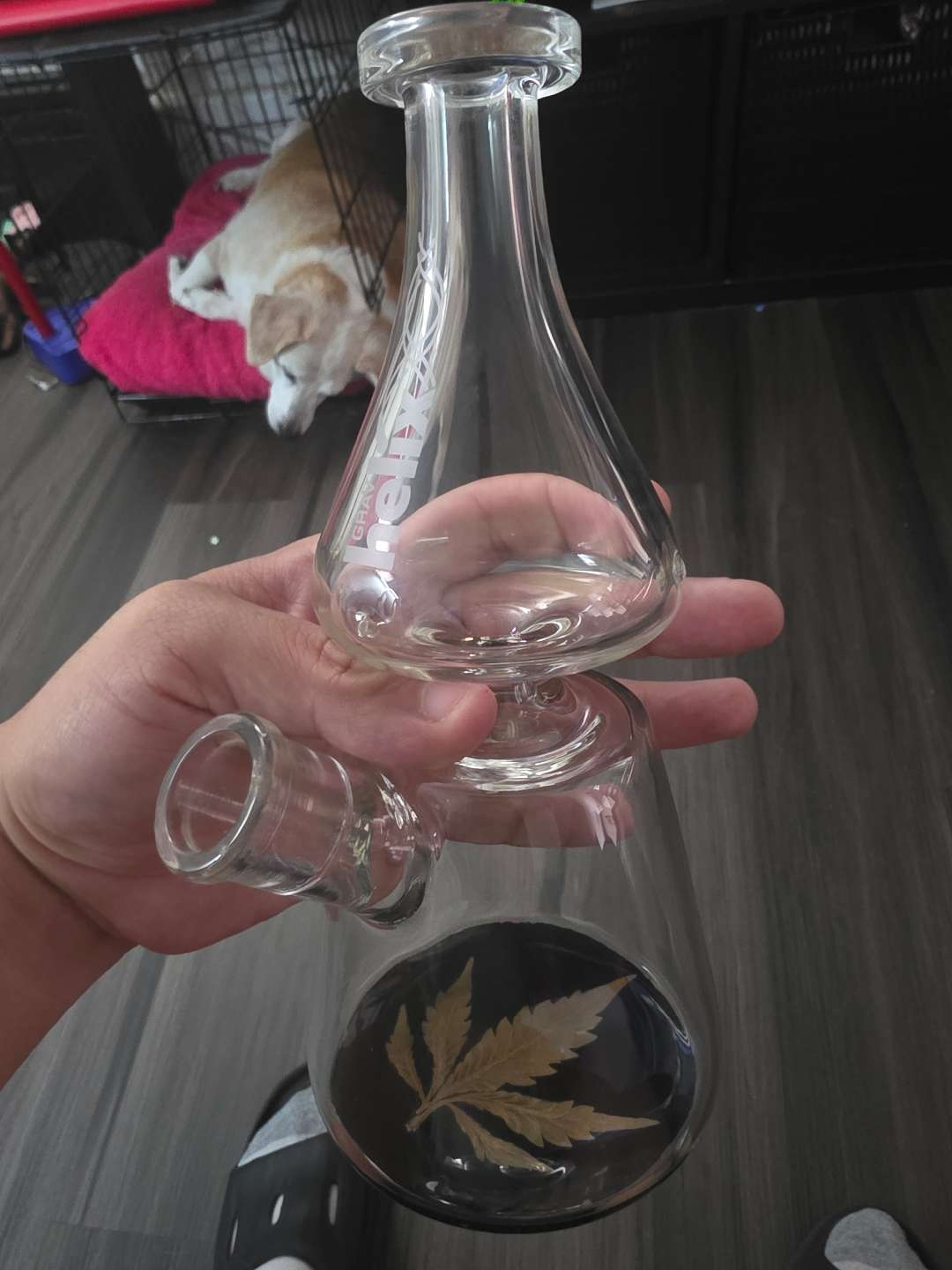 Preview pic of Custom Grav labs Helix