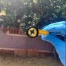Small image 3