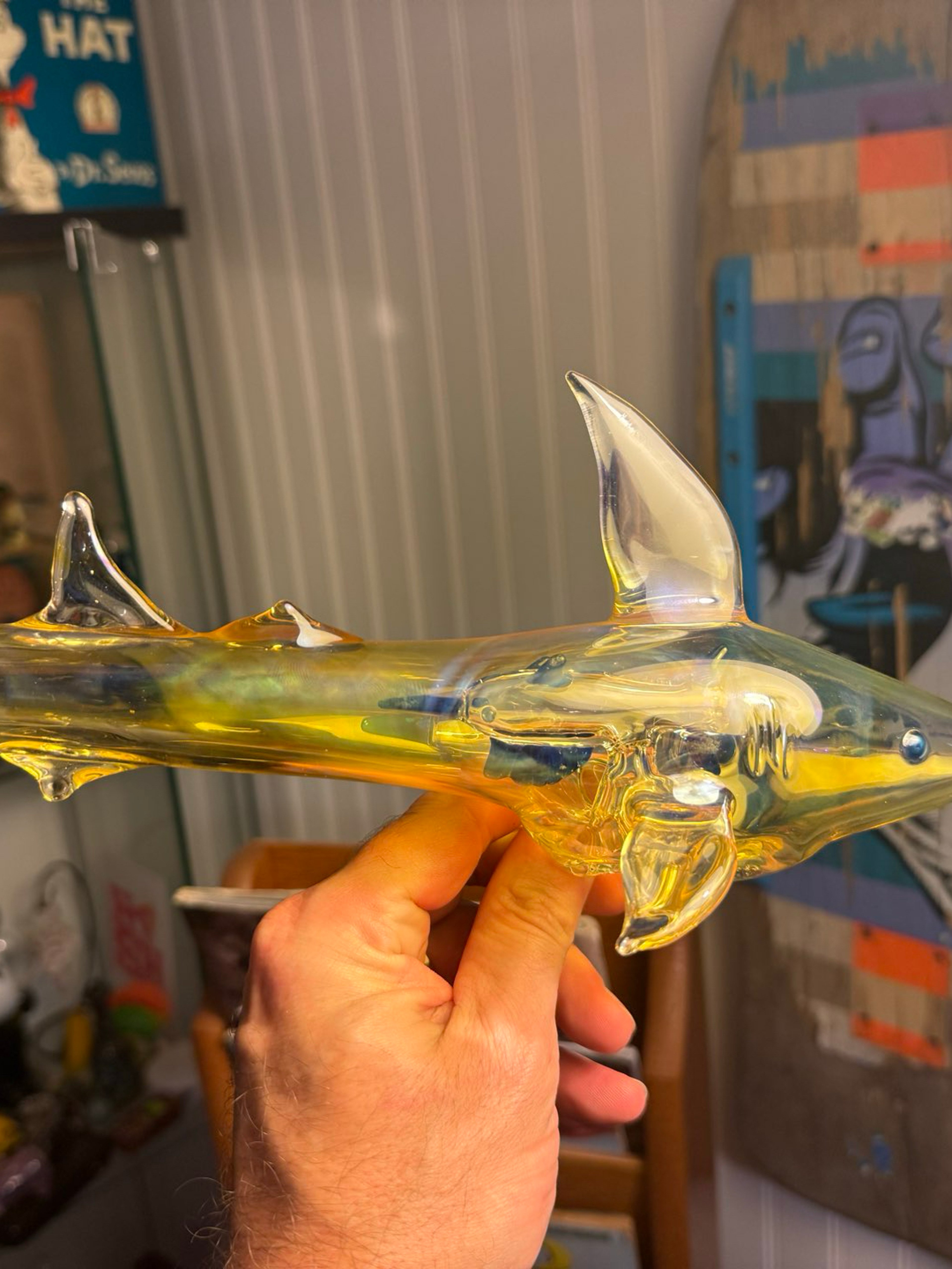 Preview pic of Shark inside a shark dry