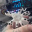 Small image 9