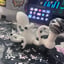 Small image 4