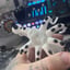Small image 5