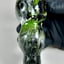 Small image 6