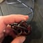 Small image 5