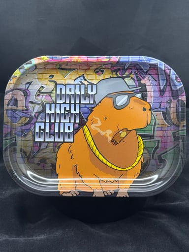 Preview pic of DHC Capybara Tray