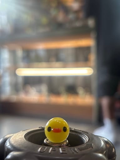Preview pic of Duck marble