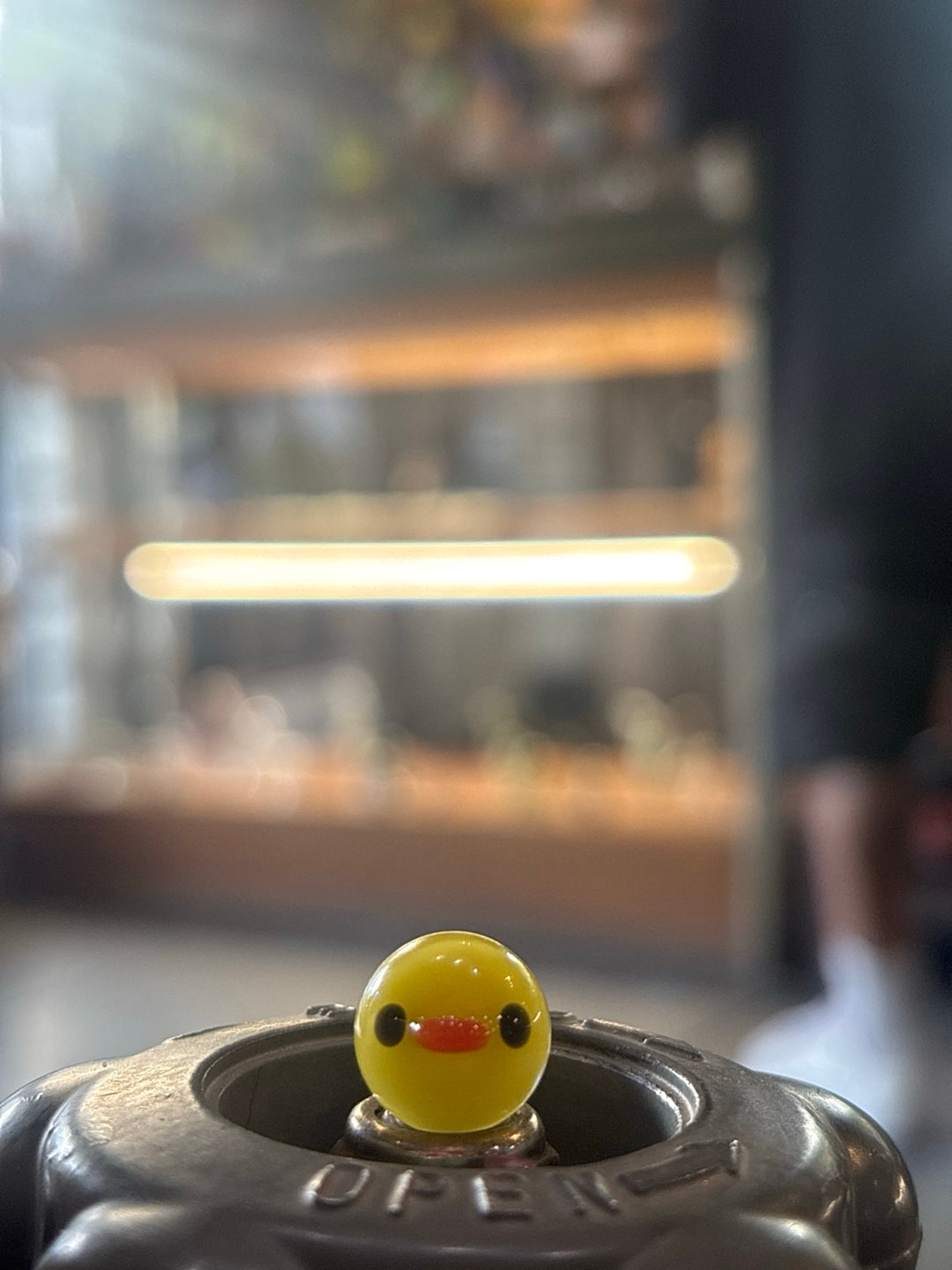 Duck marble image 0