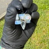 Small image 4