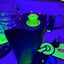 Small image 6