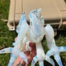 Small image 6