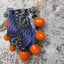 Small image 9