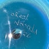 Small image 6