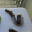 Small image 8