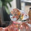 Small image 9