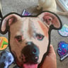 Small image 1