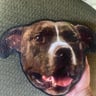 Small image 5