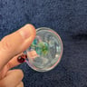 Small image 3