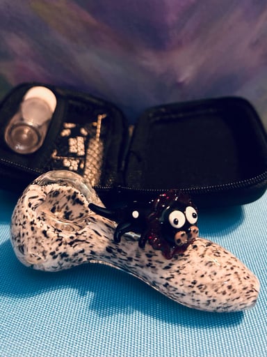 Preview pic of Unique animal glass hand pipe w case
