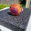 Small image 6