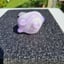 Small image 8