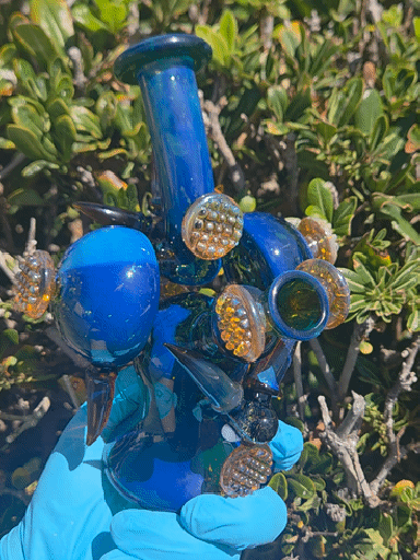 Preview pic of Heady Rig (2B)