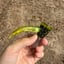 Small image 1