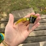 Small image 6