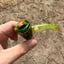 Small image 5