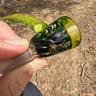 Small image 2