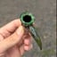 Small image 9