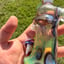 Small image 4
