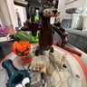 Small image 0